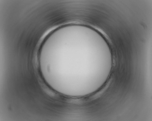 X0000114571078200910191028