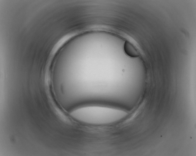 X0000114571082200910191028