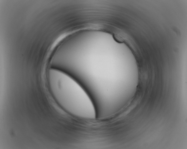 X0000114571083200910191028