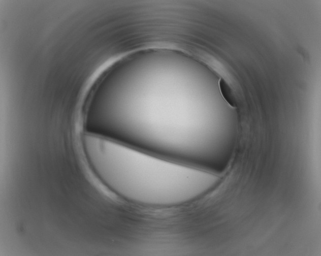X0000114571084200910191028