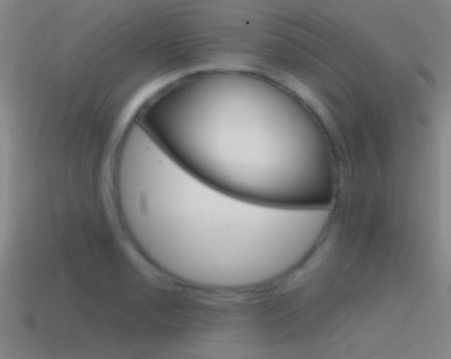 X0000114571085200910191028