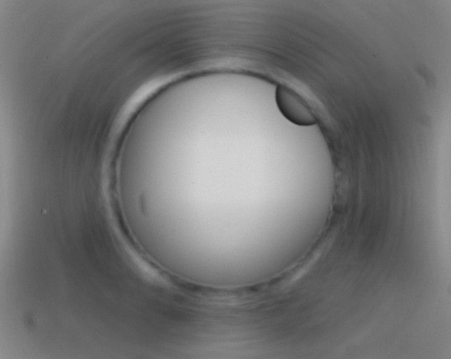 X0000114571086200910191028