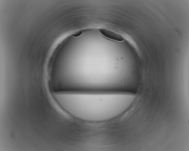 X0000114571088200910191028
