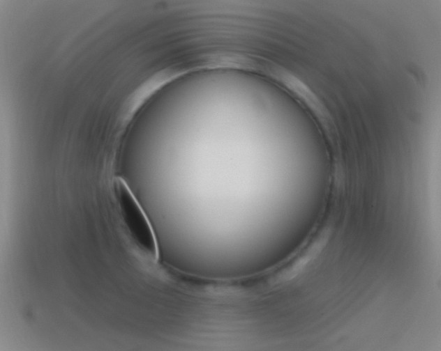 X0000114571089200910191028