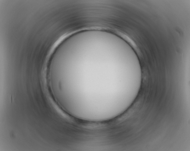 X0000114571091200910191028