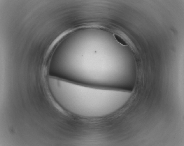 X0000114571092200910191028