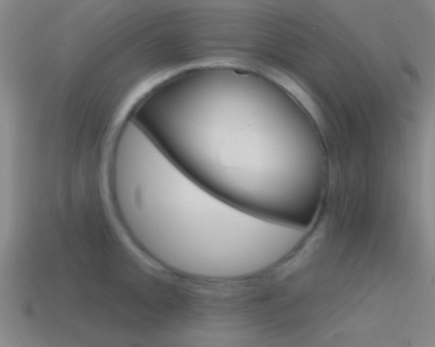 X0000114571093200910191028