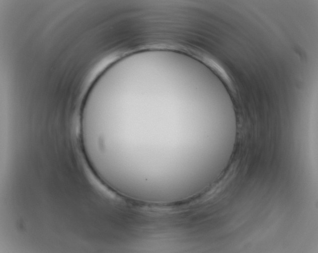 X0000114571095200910191028