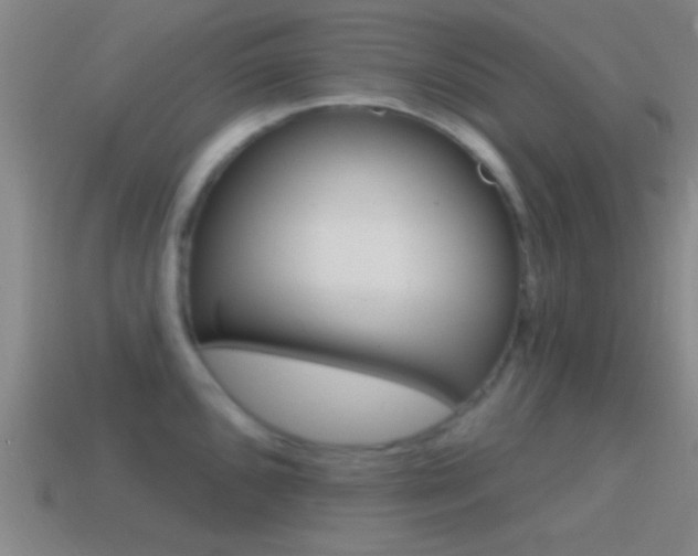 X0000114571096200910191028