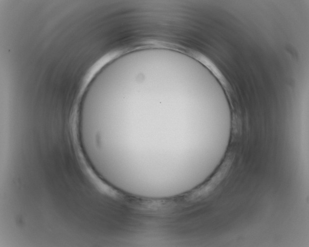 X0000114571098200910191028