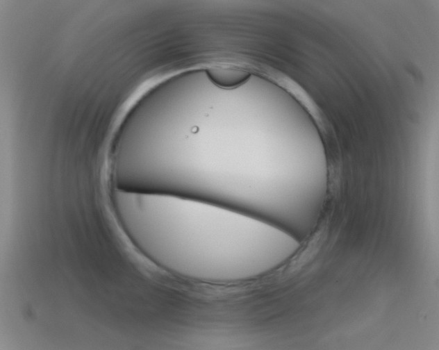 X0000114571099200910191028
