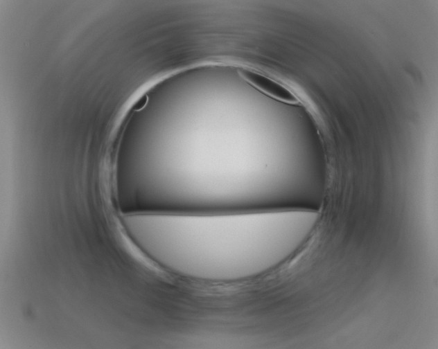 X0000114571100200910191028