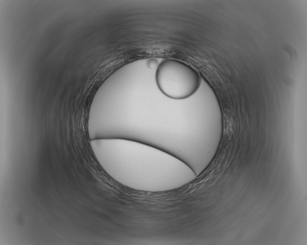 X0000114571106200910191027