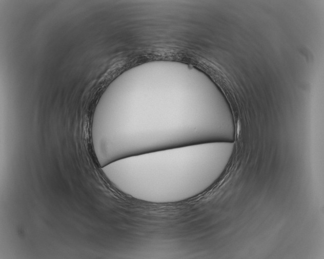 X0000114571107200910191027