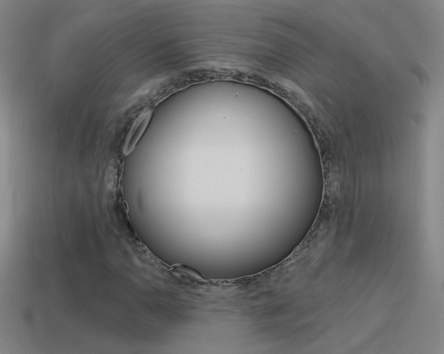 X0000114571110200910191027