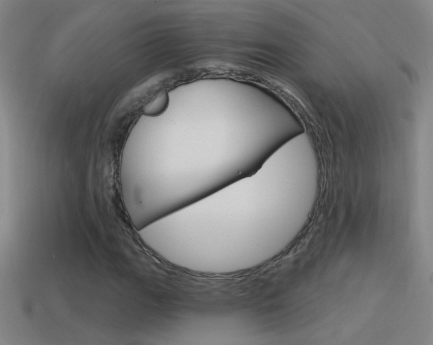 X0000114571111200910191027