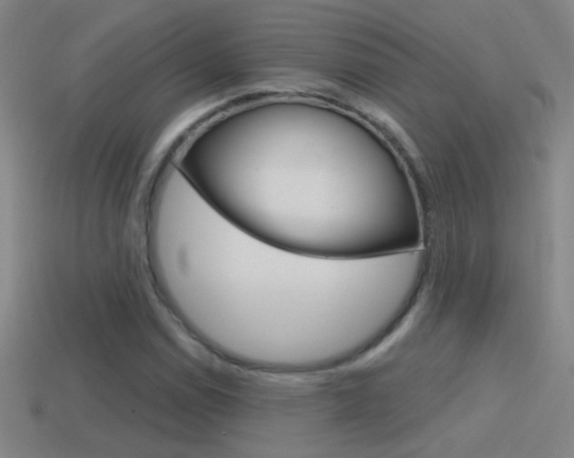 X0000114571114200910191027