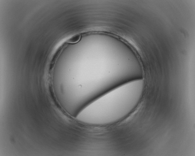 X0000114571119200910191027