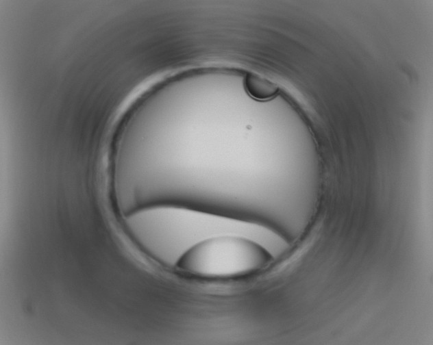 X0000114571126200910191027