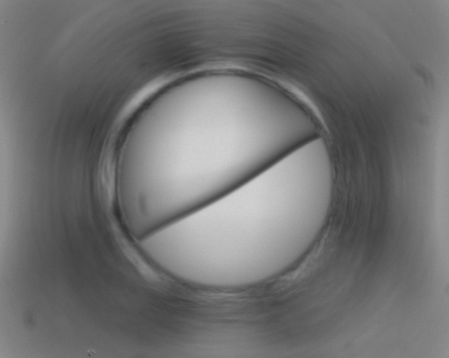 X0000114571127200910191027