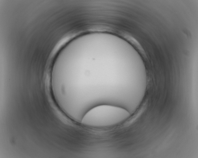 X0000114571130200910191028