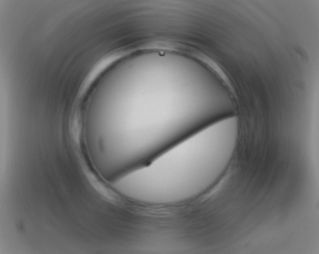 X0000114571131200910191028