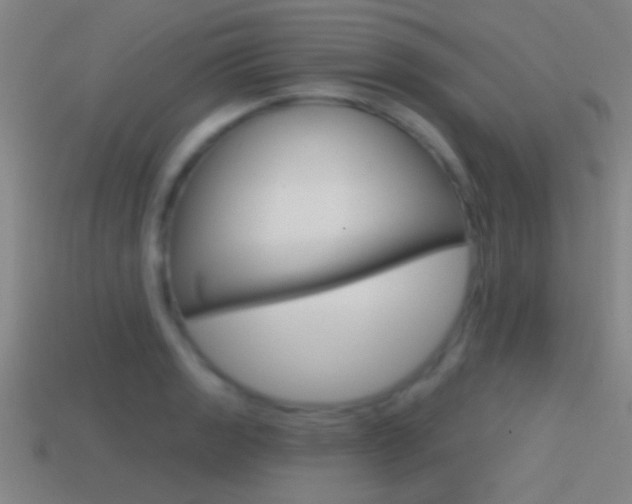 X0000114571133200910191028