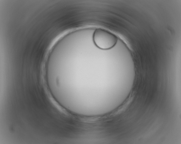 X0000114571134200910191028