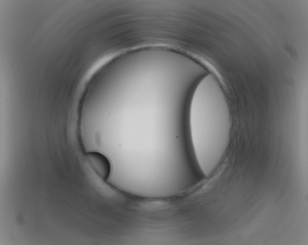 X0000114571135200910191028