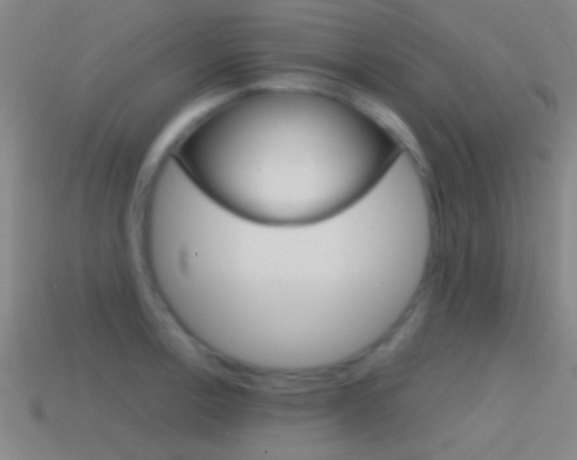 X0000114571138200910191028