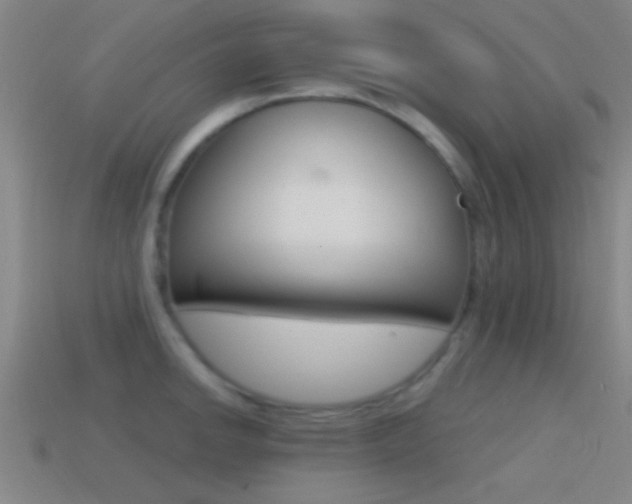 X0000114571142200910191028
