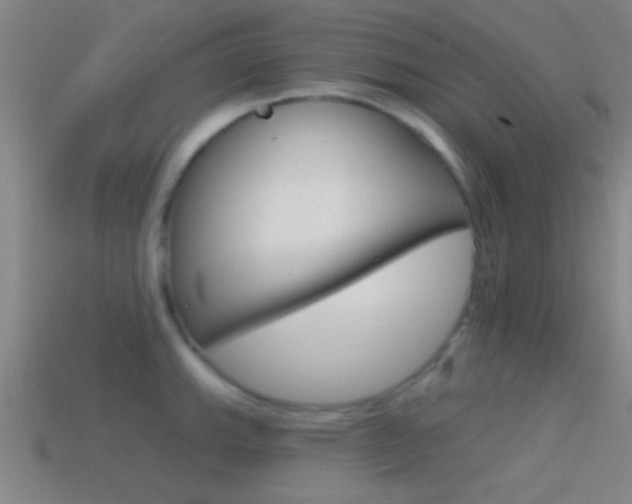 X0000114571143200910191028