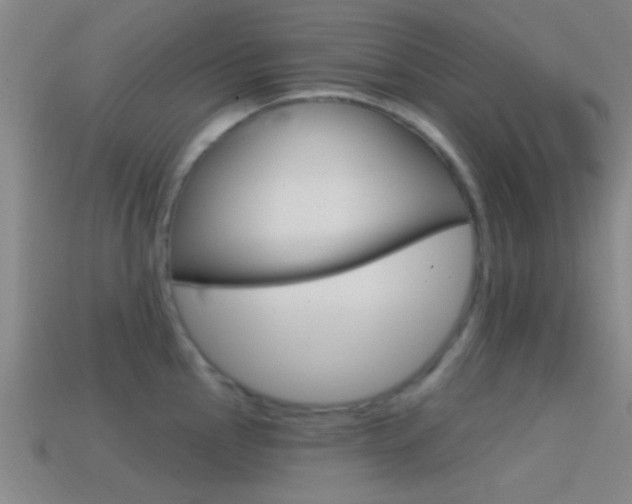 X0000114571145200910191028