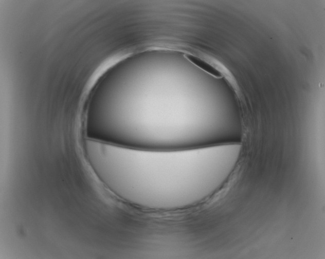 X0000114571146200910191028