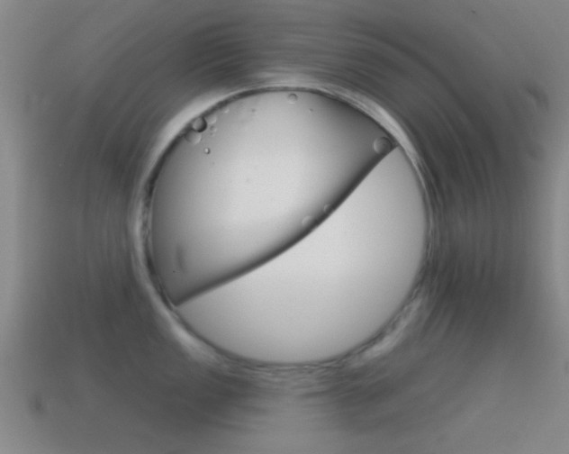 X0000114571149200910191028