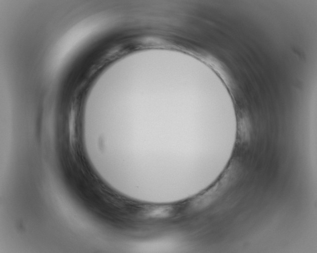 X0000114571150200910191028