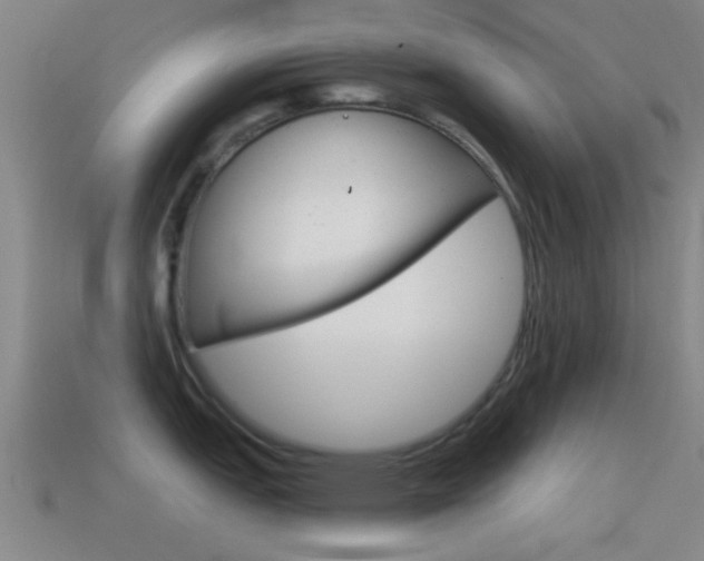 X0000114571151200910191028