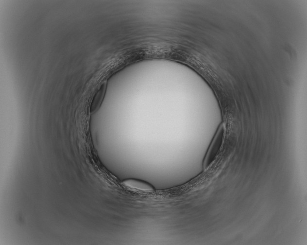 X0000114571153200910191027