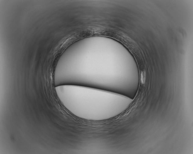X0000114571155200910191027