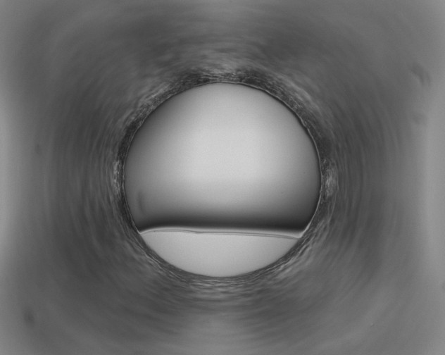 X0000114571156200910191027