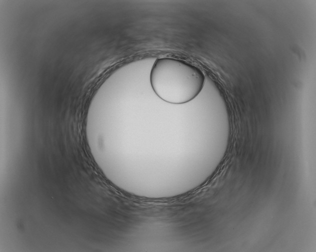 X0000114571157200910191027