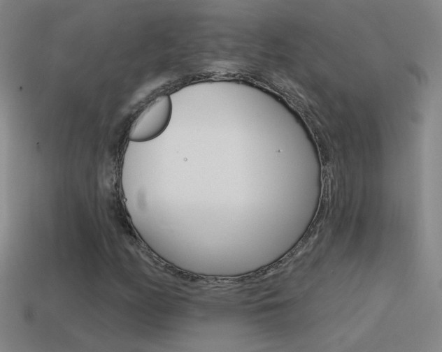 X0000114571158200910191027