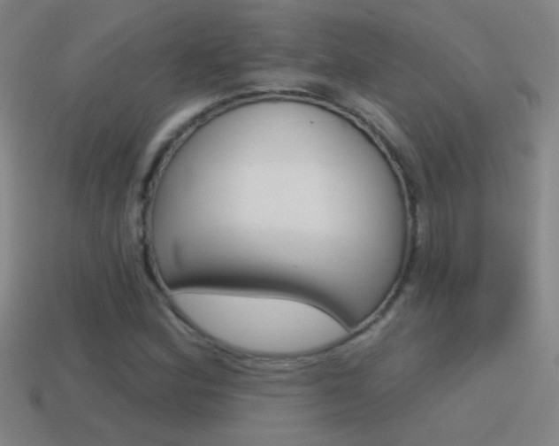X0000114571164200910191027