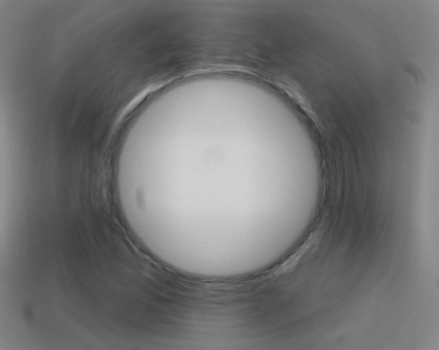 X0000114571165200910191027