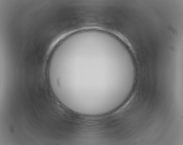 X0000114571167200910191027