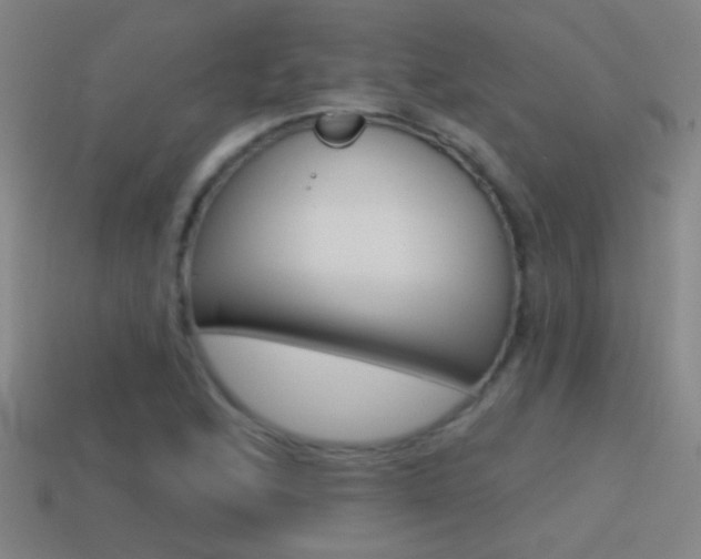X0000114571168200910191027