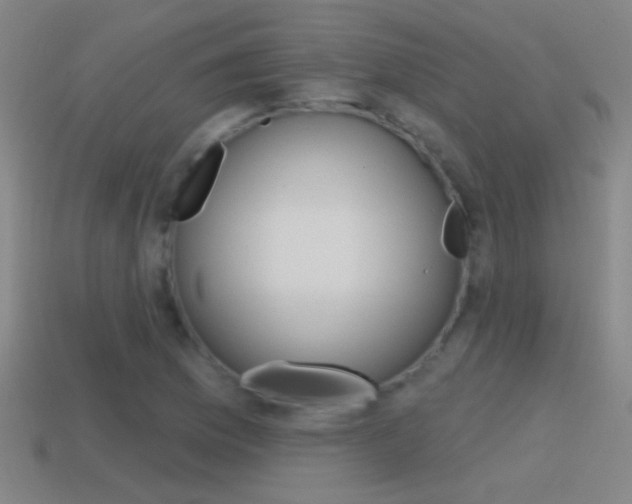 X0000114571169200910191027