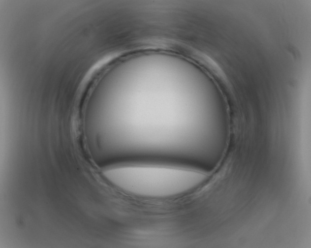X0000114571172200910191027