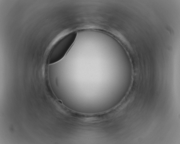 X0000114571173200910191027