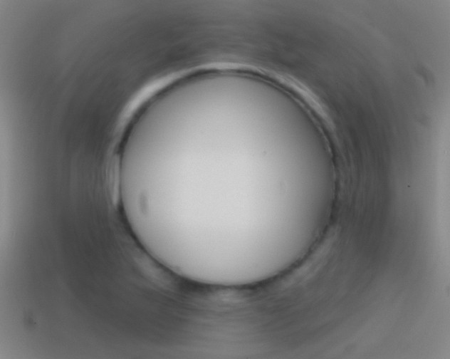X0000114571175200910191027